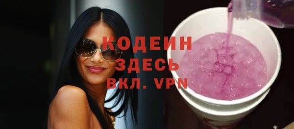 spice Няндома