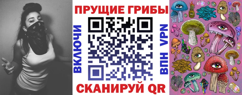 omg онион  купить   Перевоз  Псилоцибиновые грибы ЛСД 