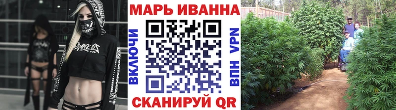 Бошки марихуана VHQ  продажа наркотиков  Перевоз 